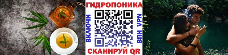 Canna-Cookies марихуана  Губкинский 