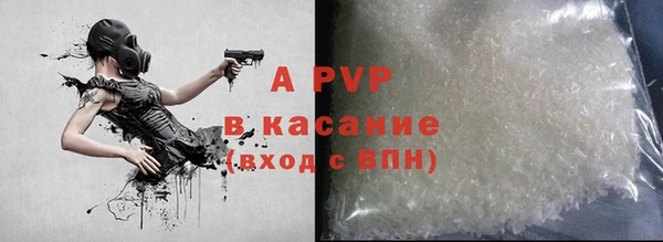 сатива Няндома
