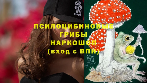 гашиш Новозыбков