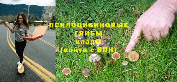 гашиш Новозыбков