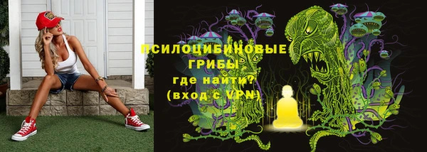хмурый Новодвинск