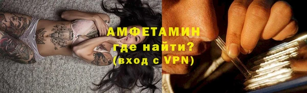 сатива Няндома