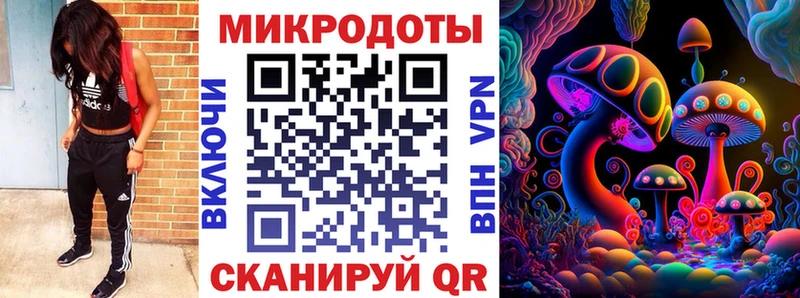 Псилоцибиновые грибы прущие грибы  цена наркотик  Губкинский 