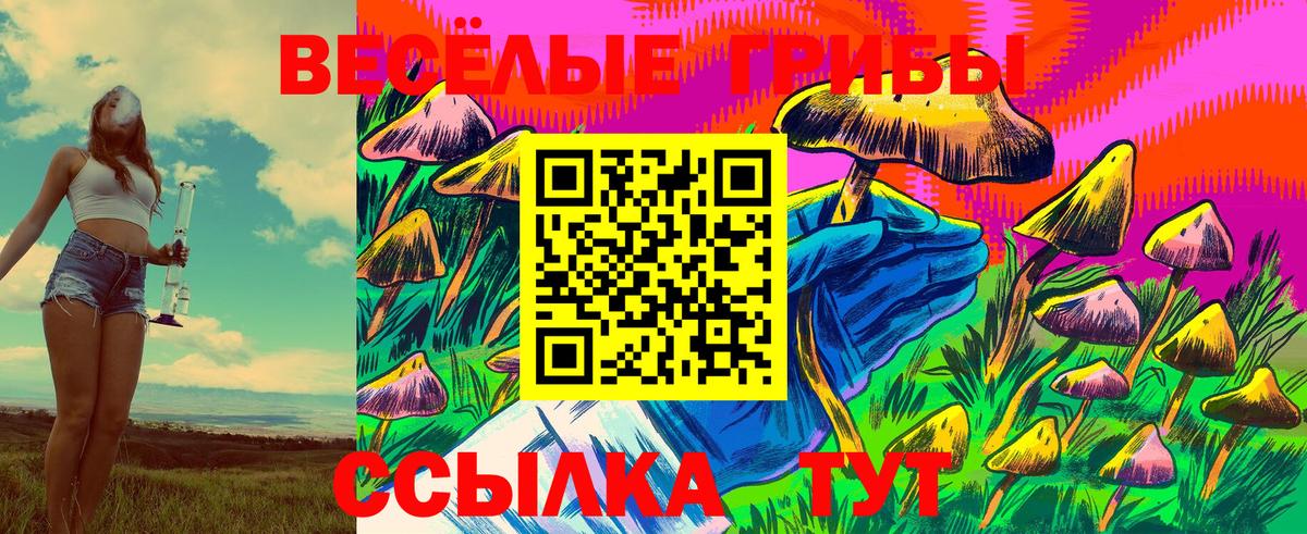Псилоцибиновые грибы Magic Shrooms  Вход с VPN  Губкинский  Псилоцибиновые грибы Cubensis 