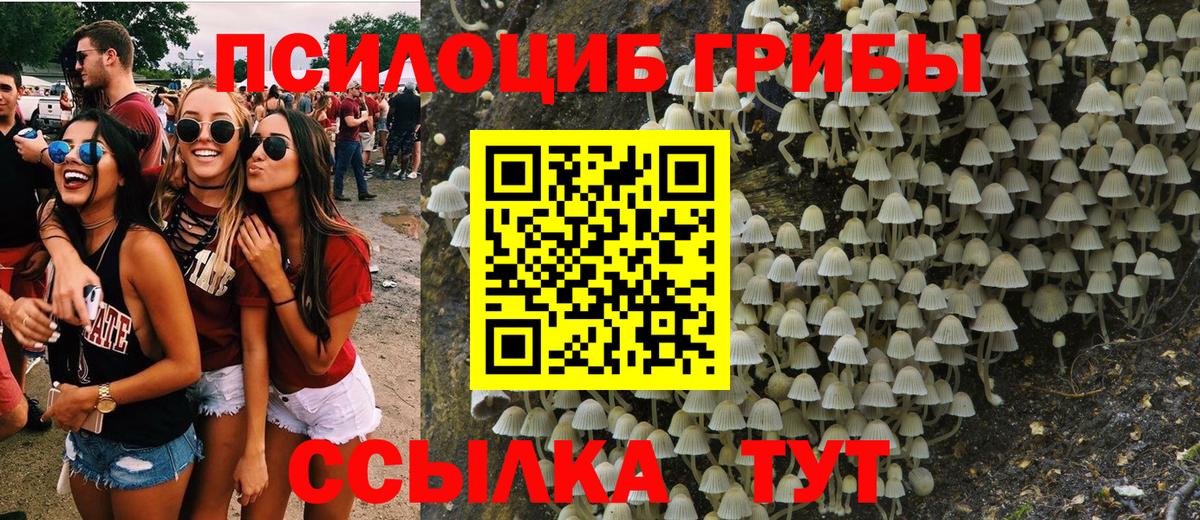 Галлюциногенные грибы ЛСД Губкинский